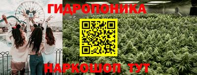 бошки Кимры