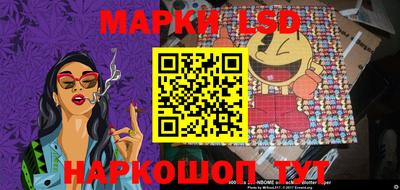 бошки Кимры