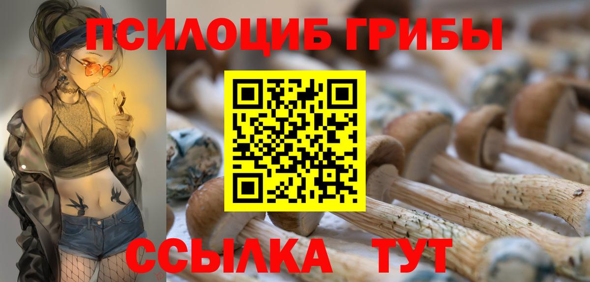 Галлюциногенные грибы Cubensis  Вход с VPN  Дальнегорск  Галлюциногенные грибы мицелий 